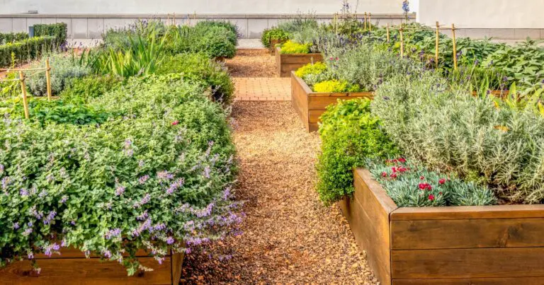 Creating A Raised Garden Bed: Impact Driver For Fastening 