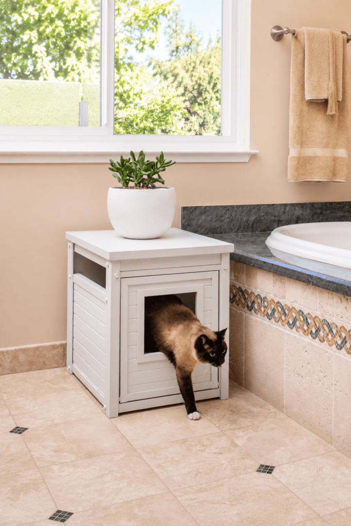 Hidden Litter Box End Table